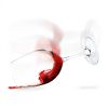 Shatterproof Plastic Wine Glass by True