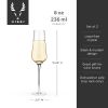 Angled Crystal Champagne Flutes by Viski®