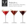 Meridian Martini Glasses (Set of 2) by Viski