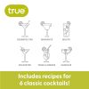 Smoke-Colored Plastic Cocktail Shaker with Recipes by True