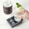 Highball Ice Cube Tray with Lid by ViskiÂ®