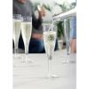 True Party: Plastic Champagne Flute Set - 12 pc