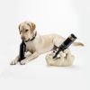 Playful Pup Bottle Holder by True