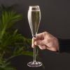 Gold-Rimmed Crystal Champagne Flutes by Viski®