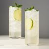 Crystal Highball Glasses by Viski®