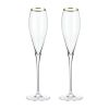 Gold-Rimmed Crystal Champagne Flutes by Viski®