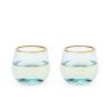 Aqua Bubble Stemless Wine Glass Set by Twine®