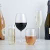 Shatterproof Plastic Wine Glass by True