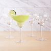 Margarita Glasses, Set of 4 by True