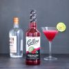 32 oz. Cosmopolitan Cocktail Mix by Collins